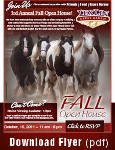 Click to view Open House Flyer