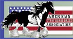 American Gypsy Horse Breed Association