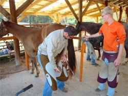Farrier School