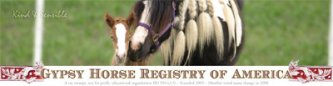 Gypsy Horse Registry of America
