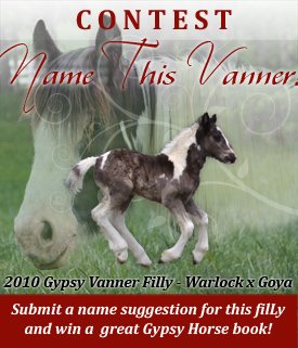 Name This Vanner Contest