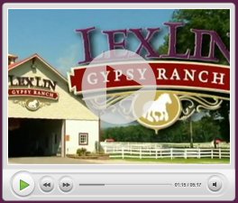 LexLin Gypsy Vanner Horse TV Commercial