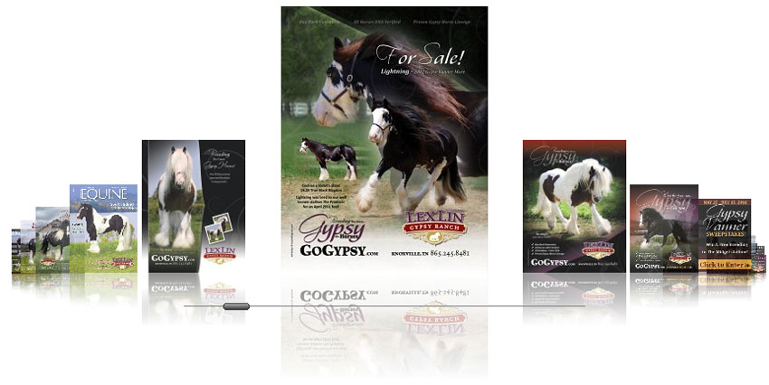 Lexlin Gypsy Ranch Horse Marketing Ads