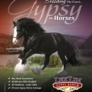 EquineJournalLexLinGypsyRanchMay2010Ad
