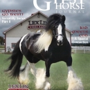Summer-2010-Gypsy-Horse-Journal-Cover