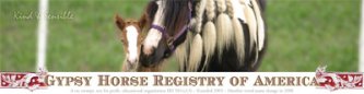 Gypsy_Horse_Registry_of_America