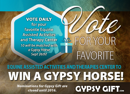 Gypsy Gift - Website Center Voting Banner 2015